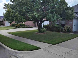 Prasannah N.'s Lawn Care service result