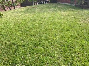 Aaron V.'s Lawn Service service result