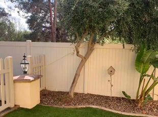 Bush Trimming by Mario Monje for Sylvia T. in Menifee, CA