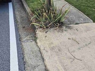 Weeding by Abdiel Carral for Shungreer P. in Douglasville, GA