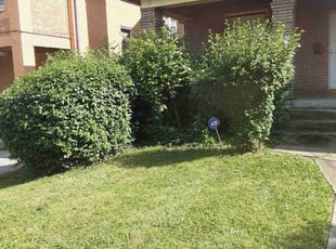 Bush Trimming by Caleb Patton for Asha L. in Cincinnati, OH