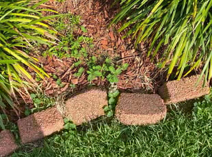 Weeding by Jim Hope for Courtney S. in Baton Rouge, LA