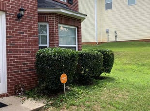 Bush Trimming by Carl Hunt for Stephen H. in Douglasville, GA