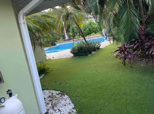 Eric M.'s Lawn Service service result