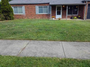 Parisa a.'s Lawn Mowing service result