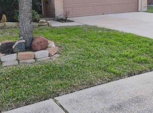 Salina E.'s Lawn Service service result