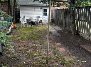 Leaf Removal by Angel P. for Matt S. in Arlington, VA