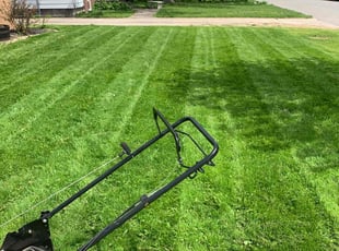 Tiffany R.'s Lawn Mowing service result