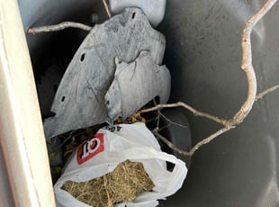 Cleanups by Eric Aguirre for Ms. H. in Dallas, TX