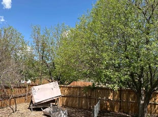 Leaf Removal by Alex Hickman for Connie H. in Aurora, CO