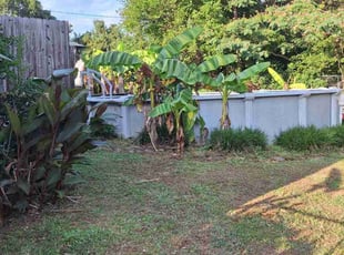 Weeding by Quincy Ballenger for Valerie S. in Duncan, SC
