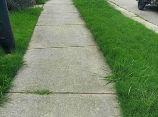 Landscaping by Ryan Taylor for Shailesh N. in Morrisville, NC