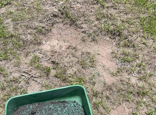 Aeration by Vee Primus for Andrew D. in Jacksonville, FL