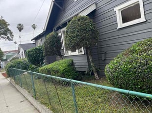 Bush Trimming by Fernando Gomez Rodriguez for Dan J. in Alhambra, CA