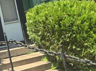 Bush Trimming by Quis Coleman for Mark P. in Saint Paul, MN