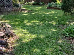 Landscaping by Omar Guzman for Patricia P. in Sheffield Lake, OH