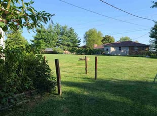 Marquerite S.'s Grass Cutting service result