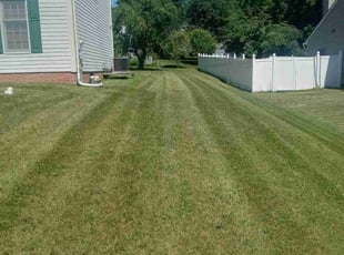 Tim J.'s Lawn Service service result