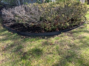 Leaf Removal by Joshua Bivins for Michael B. in East Greenbush, NY