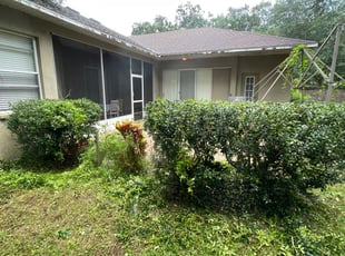 Bush Trimming by Ramon Taguja for Jai T. in Brandon, FL