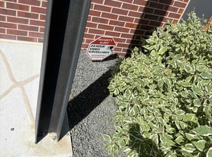 Weeding by Mohamed Hassan Jimenez for Scott S. in Denver, CO