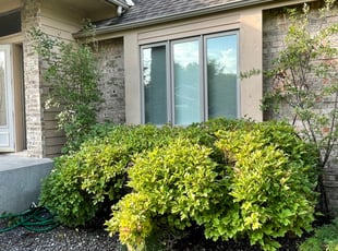 Cleanups by Taylen Majest for Amina A. in White Bear Lake, MN