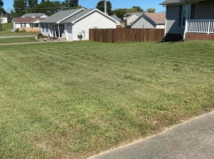 Ashley G.'s Lawn Service service result