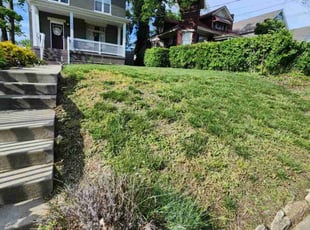 Cleanups by D'andre Antrion Covington for Rikki G. in Cincinnati, OH