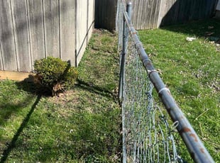 Cleanups by John Will for Sharon W. in Indianapolis, IN