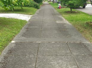Cleanups by James McAfee for Emma M. in Seattle, WA