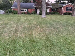 David S.'s Lawn Maintenance service result