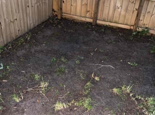 Cleanups by Dontrey Washington for Ryan B. in Jacksonville, FL