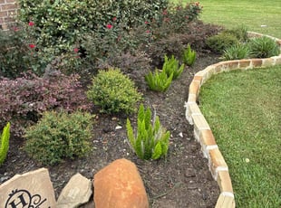 Weeding by Santiago Rodriguez for Charston H. in Manvel, TX