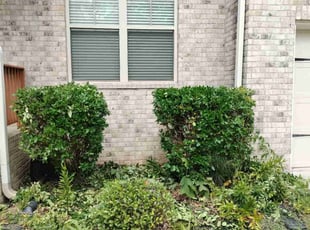 Bush Trimming by Derrick Rhodes for Kameron R. in Stockbridge, GA