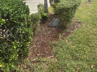 Weeding by Michael Thomas for Quonesha T. in Jacksonville, FL