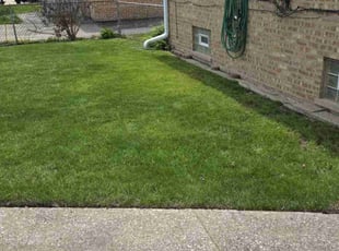 Eileen H.'s Grass Cutting service result