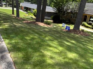 Damien T.'s Lawn Service service result