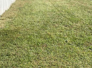 Donald H.'s Lawn Care service result