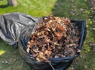Cleanups by Keree Farris Jr for Valeria G. in Sylvania, OH