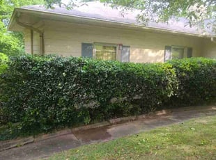 Bush Trimming by Jabree Smith for Ellen S. in Birmingham, AL