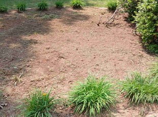 Cleanups by James Day for Mark B. in Flowery Branch, GA