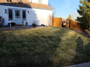 Leaf Removal by Christopher Coleman for Colleen D. in Centennial, CO