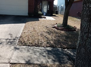 Cleanups by Veronika Martinez for Erica J. in Houston, TX