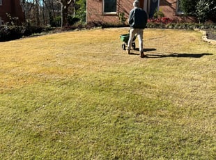 Landscaping by Maria Mauro for Joshua H. in Lawrenceville, GA