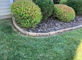 Cleanups by Almonte Marshall for Carolyn R. in Durham, NC