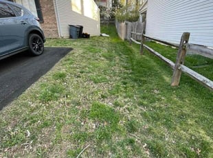 Leaf Removal by Nelly Arredondo for Caitlin R. in Springfield, VA