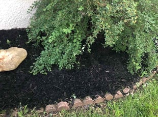 Bush Trimming by John Scimeca for Jeromy S. in Des Moines, IA