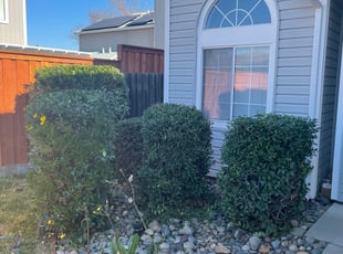 Bush Trimming by Diego Mojica for Dalton J. in Antelope, CA