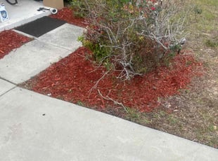 Mulching by Patrick Paul for Birgetta H. in Groveland, FL