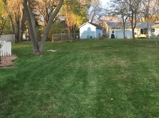 Leaf Removal by Don Hansen for Mnar M. in Maple Grove, MN
